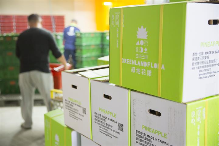 鳳梨 產品圖片（圖片編號 14522）