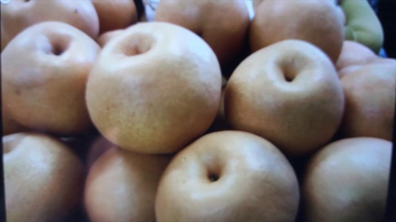 梨 產品圖片（圖片編號 162275）