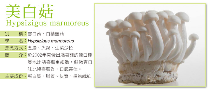 雪白菇(美白菇) 產品圖片（圖片編號 162536）