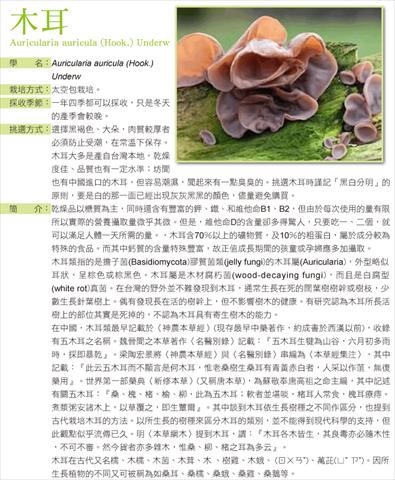 黑木耳(毛木耳) 產品圖片（產品編號 136747）