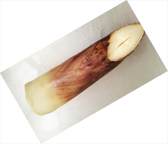 竹筍製品-即食竹筍 產品圖片（圖片編號 191731）