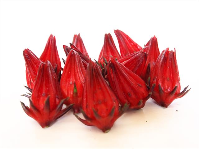 洛神(洛神葵) 產品圖片（圖片編號 191800）
