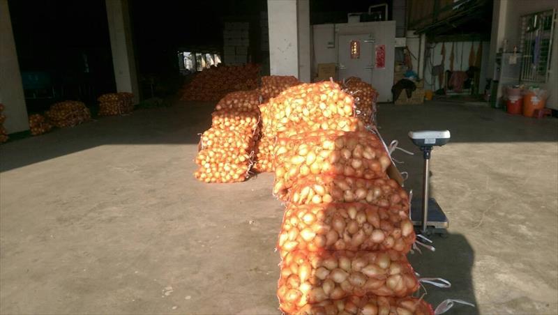 洋蔥 產品圖片（圖片編號 227124）