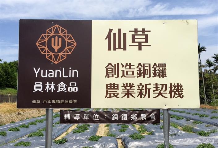 仙草乾 產品圖片（圖片編號 276270）