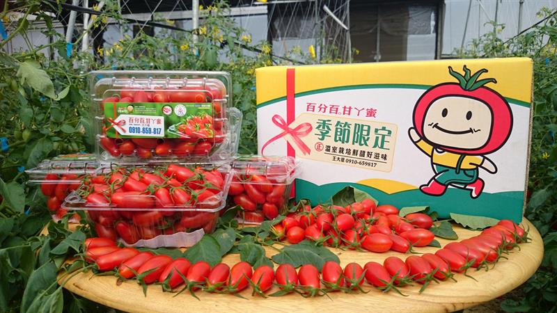 番茄(含小番茄) 產品圖片（圖片編號 32859）