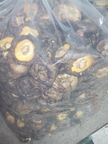 香菇 產品圖片（產品編號 17793）