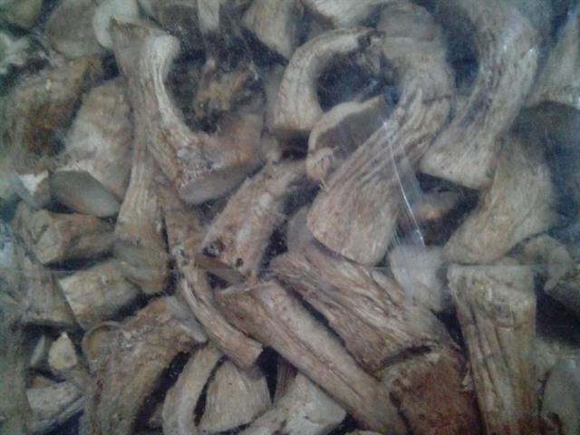 香菇 產品圖片（圖片編號 33492）