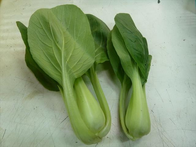 青江菜(青梗菜,青油菜) 產品圖片（圖片編號 369407）