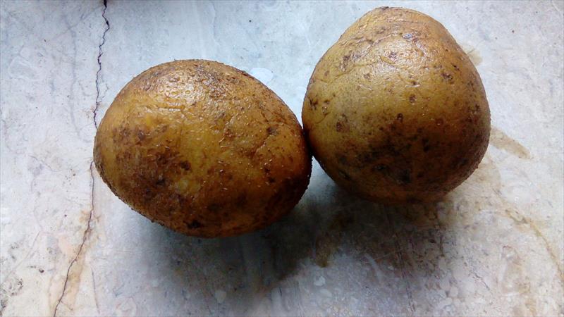 馬鈴薯 產品圖片（圖片編號 369412）