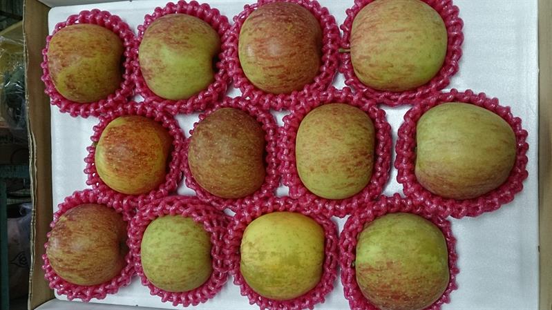 蘋果 產品圖片（圖片編號 41209）