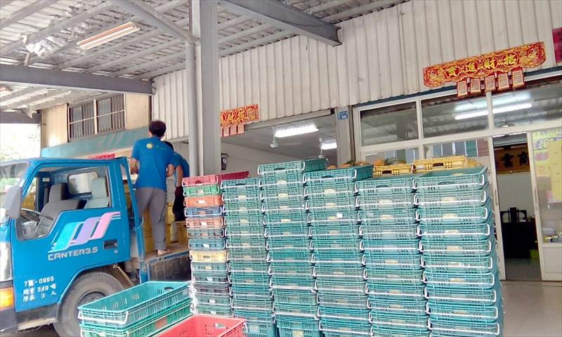 鳳梨 產品圖片（圖片編號 447483）