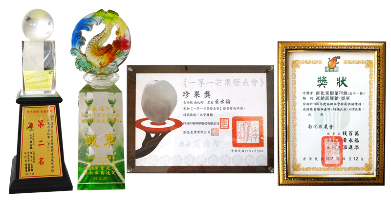 芒果 產品圖片（圖片編號 479672）