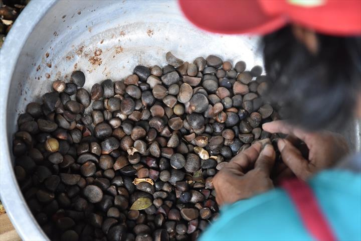 油茶 產品圖片（圖片編號 505404）