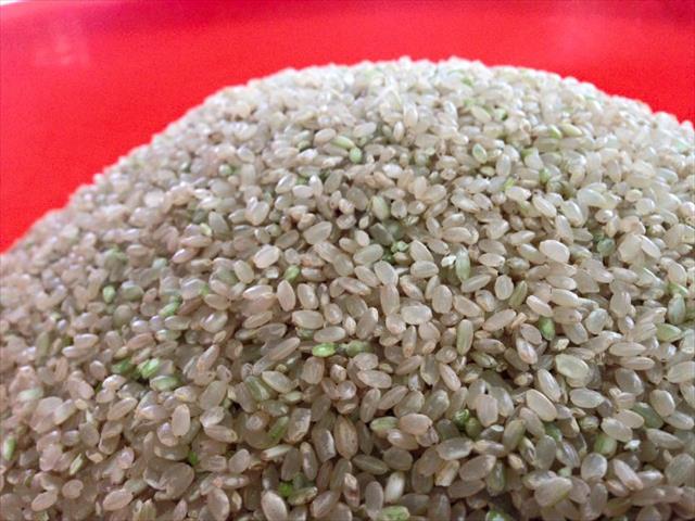 稉稻(糙米) 產品圖片（產品編號 412293）