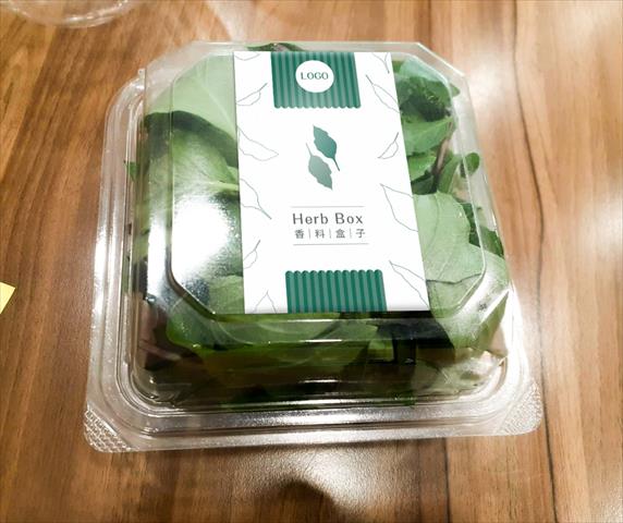 羅勒(九層塔) 產品圖片（圖片編號 512858）