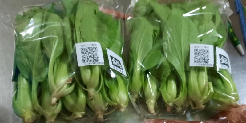 青江菜(青梗菜,青油菜) 產品圖片（圖片編號 512860）