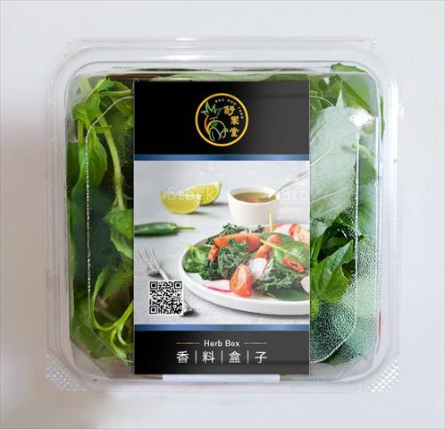 羅勒(九層塔) 產品圖片（圖片編號 512863）