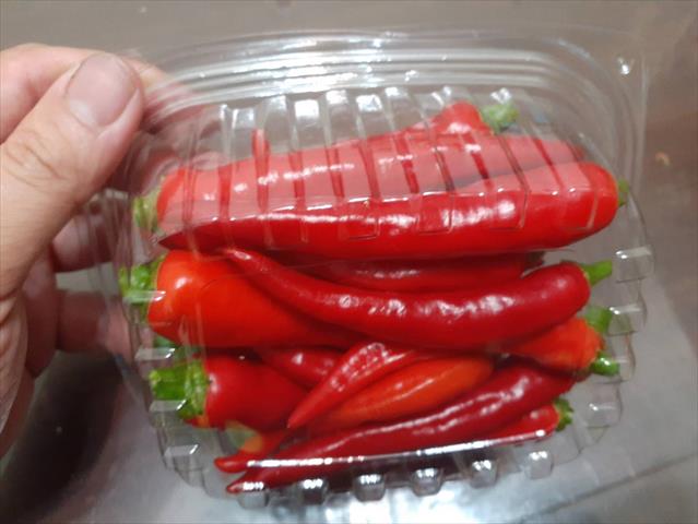 辣椒 產品圖片（圖片編號 512871）