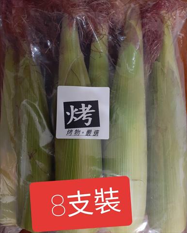 食用玉米(含玉米筍) 產品圖片（圖片編號 512872）