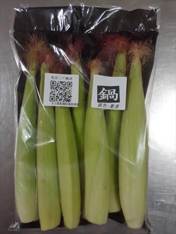 食用玉米(含玉米筍) 產品圖片（圖片編號 512873）