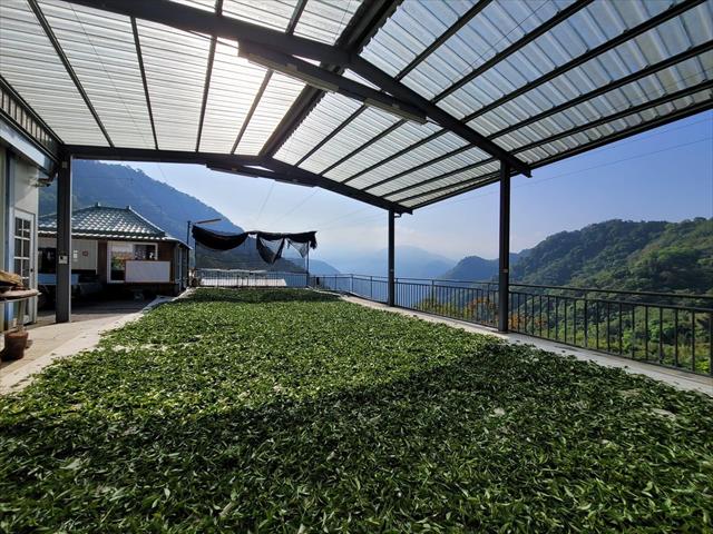 茶製品-茶 產品圖片（圖片編號 575454）
