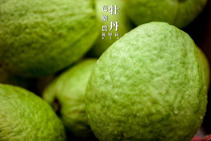 番石榴(芭樂) 產品圖片（圖片編號 575719）