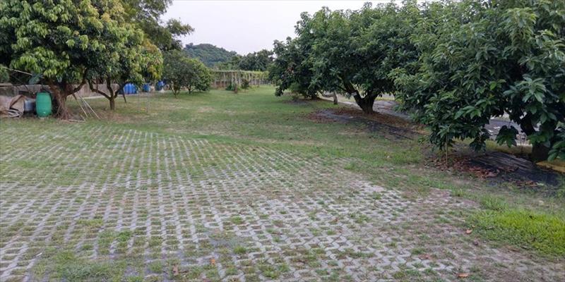 酪梨 產品圖片（圖片編號 578572）