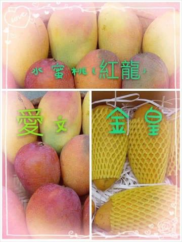 芒果 產品圖片（產品編號 449653）