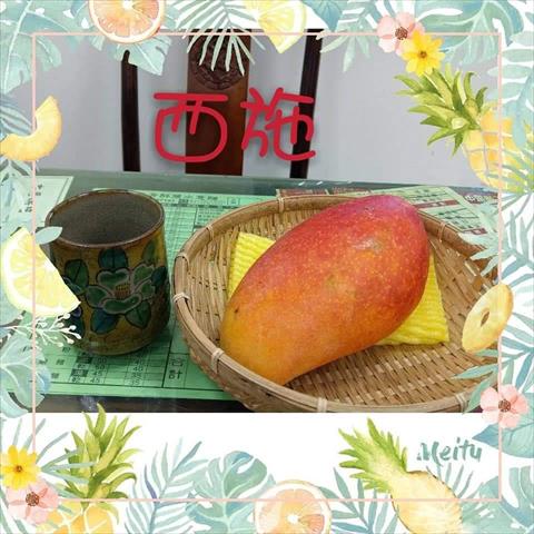 芒果 產品圖片（圖片編號 578590）