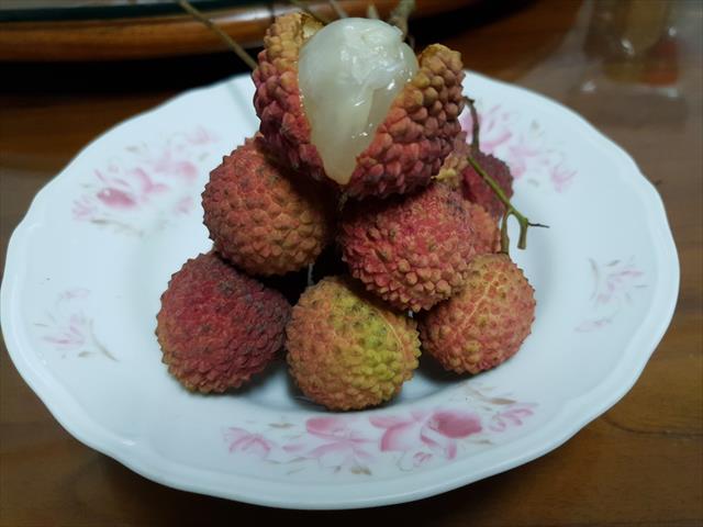 荔枝 產品圖片（圖片編號 588178）