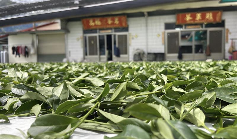 茶製品-茶 產品圖片（圖片編號 588627）