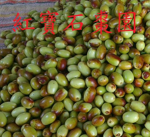 紅棗 產品圖片（圖片編號 589619）