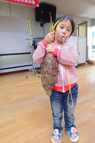 芋頭 產品圖片（圖片編號 589659）