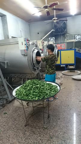 茶製品-茶 產品圖片（圖片編號 590985）