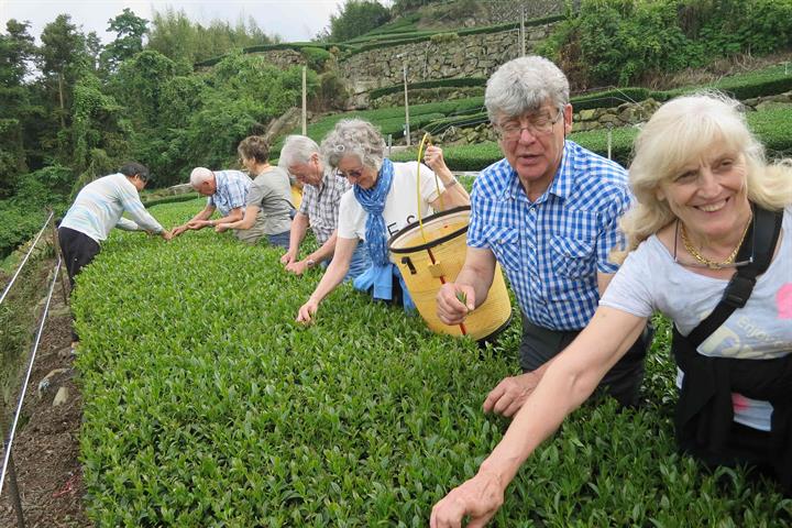 茶製品-茶 產品圖片（圖片編號 591008）