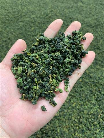 茶製品-茶 產品圖片（圖片編號 596625）