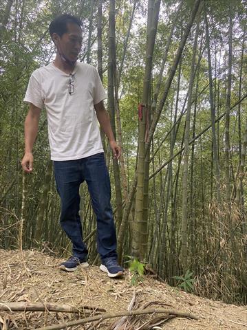 竹筍 產品圖片（圖片編號 606669）