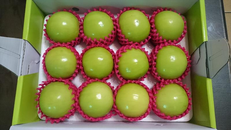 棗 產品圖片（圖片編號 606947）