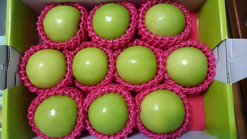 棗 產品圖片（產品編號 461299）
