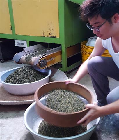 茶製品-茶 產品圖片（圖片編號 609303）