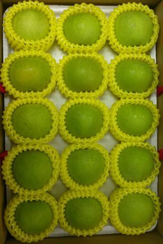 蘋果 產品圖片（圖片編號 617488）