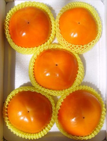 柿子 產品圖片（圖片編號 617490）