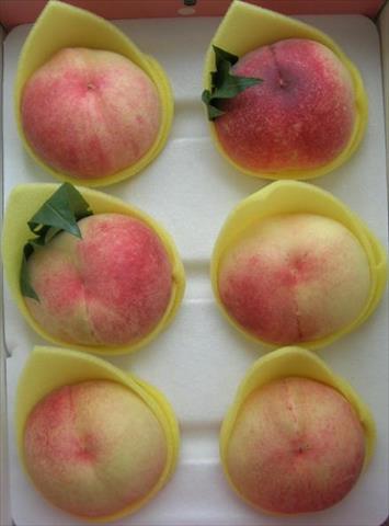 桃 產品圖片（圖片編號 617491）