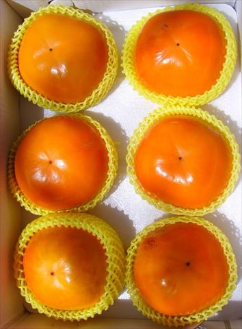 柿子 產品圖片（圖片編號 617492）