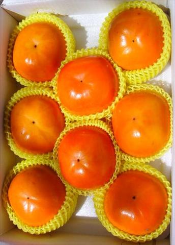 柿子 產品圖片（圖片編號 617494）