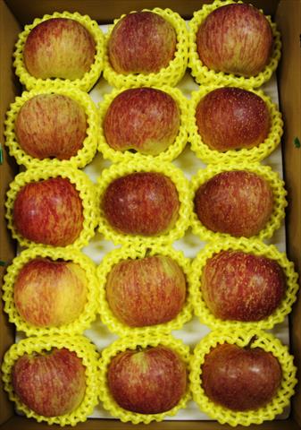 蘋果 產品圖片（圖片編號 617496）