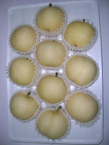 梨 產品圖片（產品編號 467108）