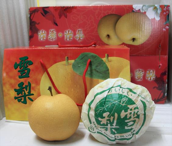 梨 產品圖片（圖片編號 617499）