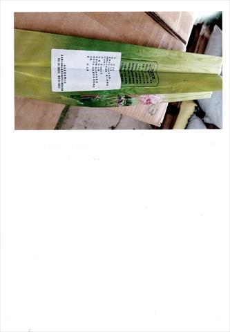 茶製品-茶 產品圖片（圖片編號 619049）