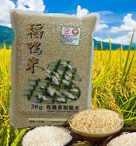 軟秈稻(糙米) 產品圖片（產品編號 467856）